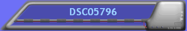 DSC05796